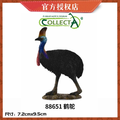 英国CollectA我你他野生动物模型玩具88651 鹤鸵  食火鸡