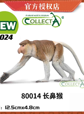英国CollectA我你他野生动物模型玩具80014 长鼻猴