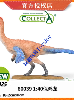 [2025新品]英国CollectA恐龙生动物模型玩具80039 1:40 似鸡龙