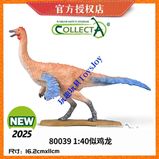 [2025新品]英国CollectA恐龙生动物模型玩具80039 1:40 似鸡龙