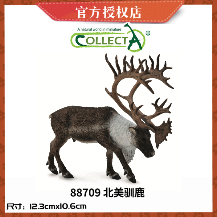 英国CollectA我你他野生动物模型玩具88709 北美驯鹿