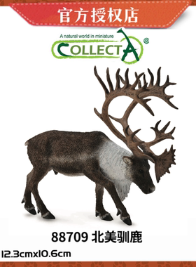 英国CollectA我你他野生动物模型玩具88709 北美驯鹿