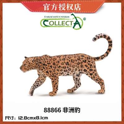英国CollectA我你他仿真野生动物模型88866非洲豹黑豹远东豹猎豹