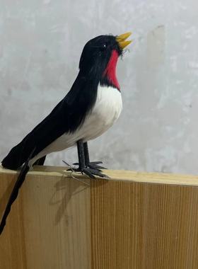 仿真羽毛金丝燕影视园林拍摄道具家燕室内家居摆件羽毛燕子饰品