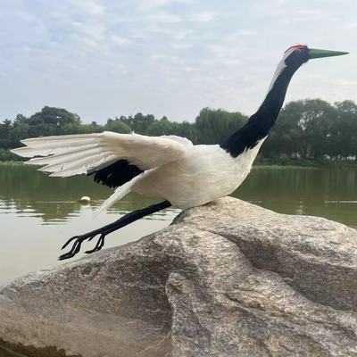 仿真动物丹顶鹤摆件模型手具