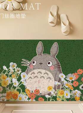龙猫入户PVC丝圈地垫耐磨除尘垫