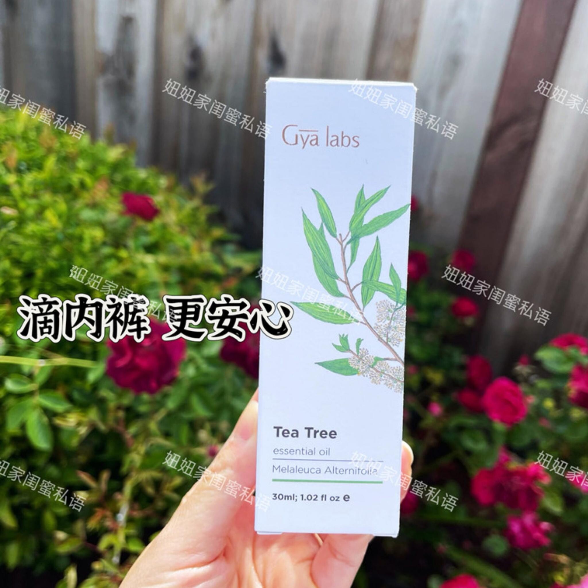 美国Gya实验室天然单方茶树精油私处霉菌滴内裤30ml