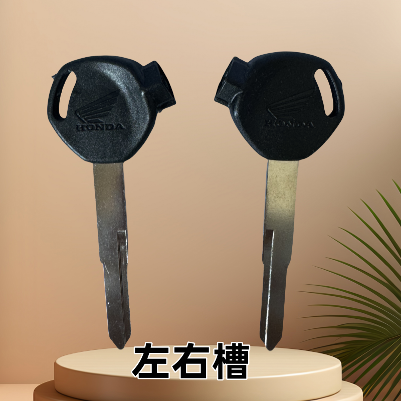 因为专注，所以专业！