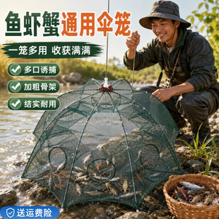 鱼笼网笼伞网鱼网捕虾虾笼龙虾网黄鳝泥鳅笼捕鱼工具捕虾抓鱼神器