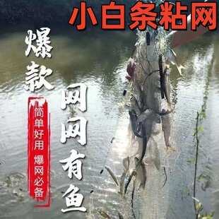 渔网粘网捕鱼网小鱼网单层三层加重沾白条专用丝网鲫鱼网沉网浮网