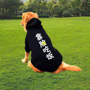 大狗狗衣服秋冬装金毛的拉布拉多萨摩耶哈士奇边牧中型大型犬冬季