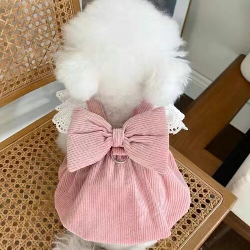宠物狗狗衣服裙子带牵引扣