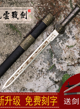 龙泉市不锈钢刀剑防身小短剑镇宅宝剑汉剑风云战剑卧龙小剑未开刃