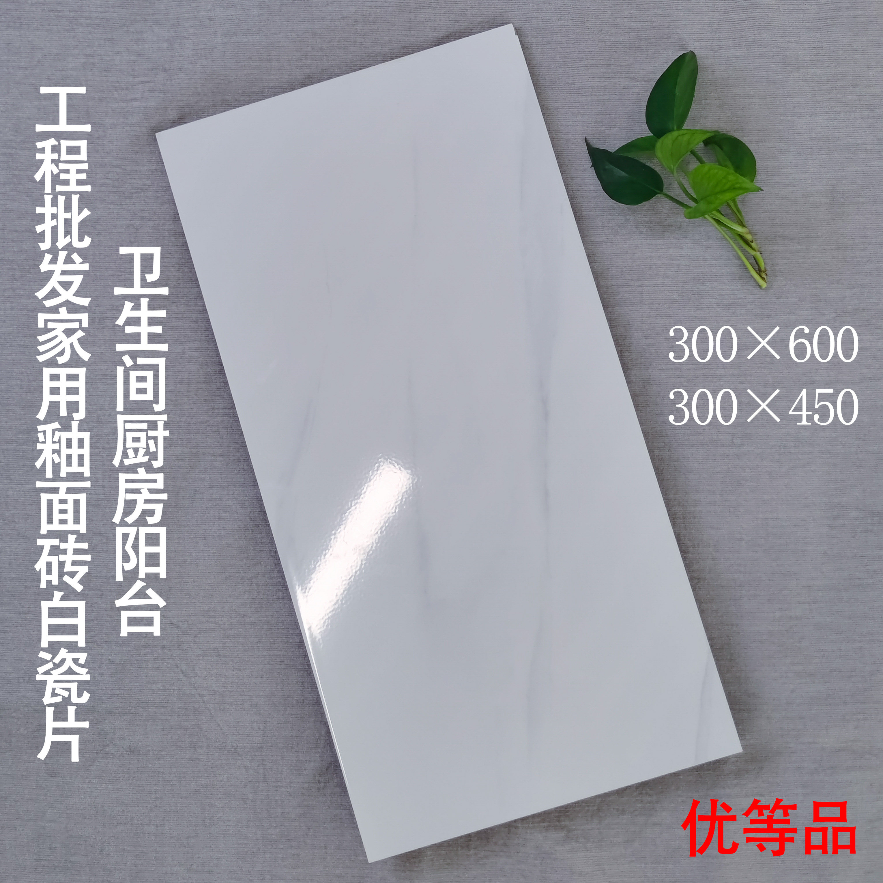 纯白墙砖300×600工程修补出租房250×300爵士白釉面砖厨房卫生间