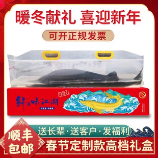 2-12斤鲜活中华淡水大鲟龙活鱼食用观赏活体送礼软骨无刺顺丰包邮