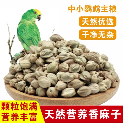 麻子鸟粮鹦鹉鸟粮牡丹八哥玄凤小鸟粮大颗粒生麻子甘肃特产