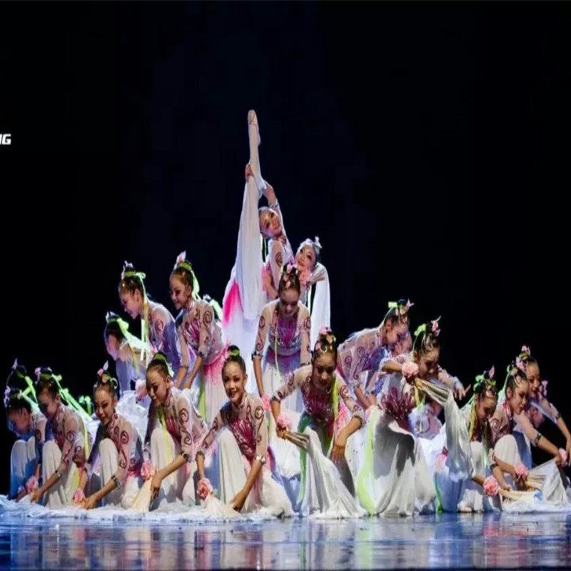 京城表演服舞奖时花荷花团体开演出服舞台女儿童古典舞蹈扇子节动