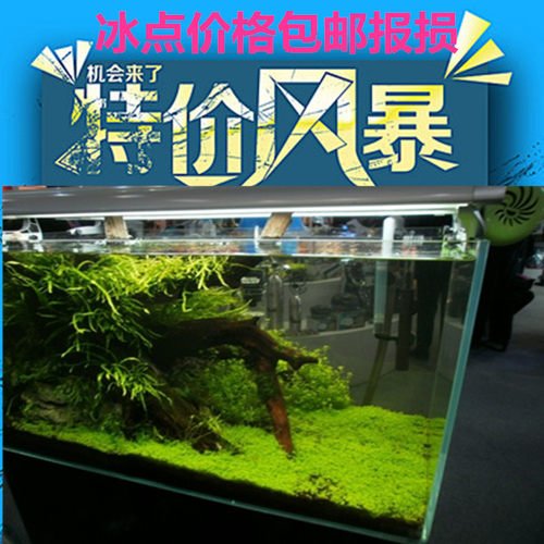 小金超白玻璃客厅生态鱼缸鱼龟缸