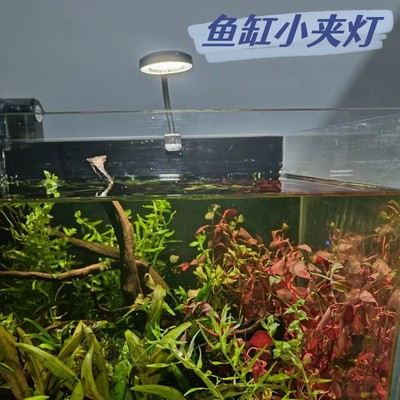 鱼缸夹灯全光谱夹灯冰点价