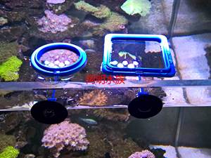 鱼儿投食圈 水族箱鱼缸 鱼粮饲料喂食圈 投喂器掌柜推荐 特惠甩卖