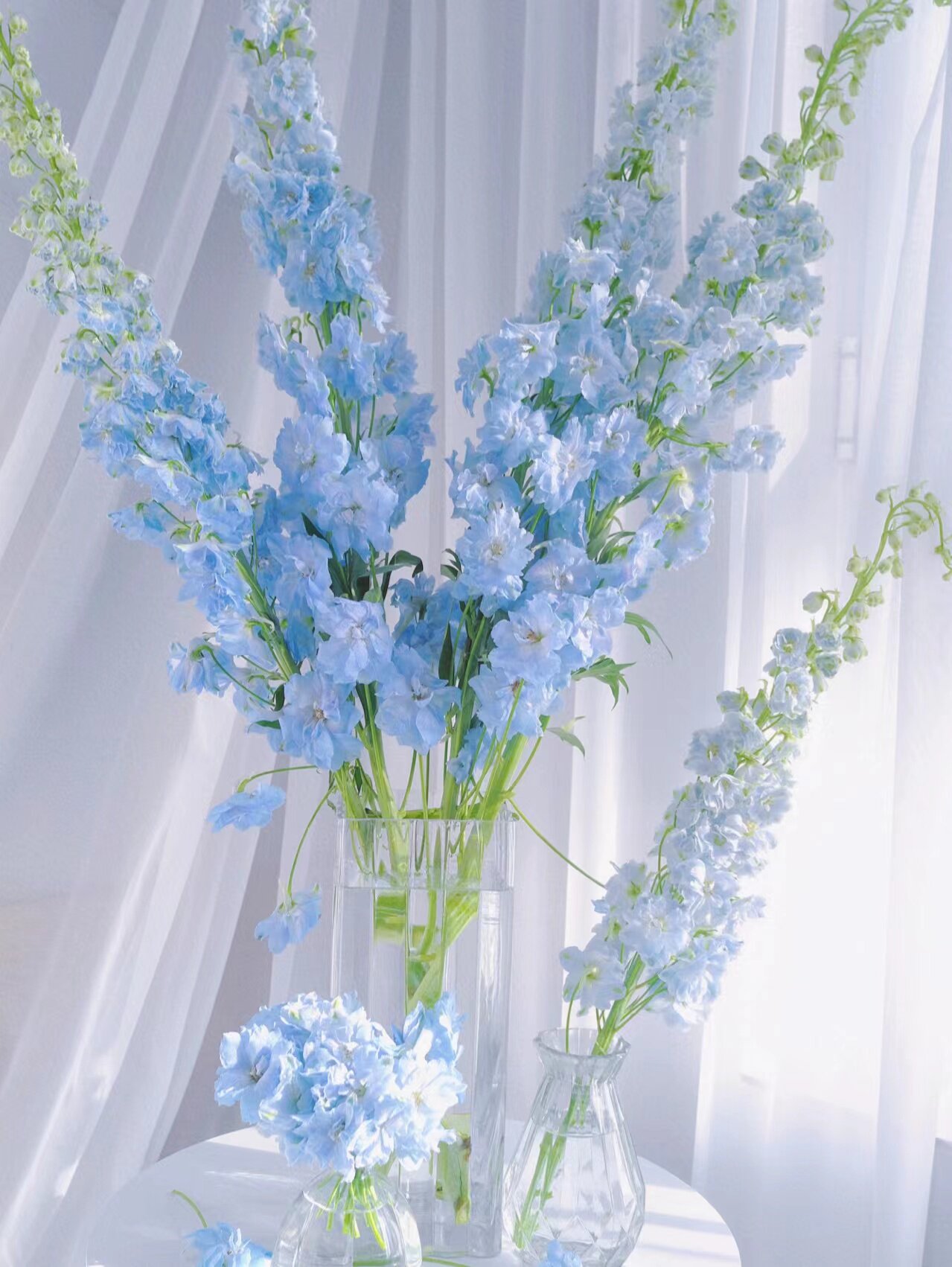 大飞燕鲜花家用办公瓶插鲜切花婚礼花艺商务水养鲜花顺丰冷链包邮