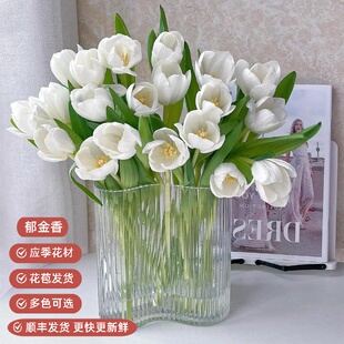 郁金香鲜切花带花苞特级郁金香鲜花水培绿植顺丰包邮鲜花云南直发