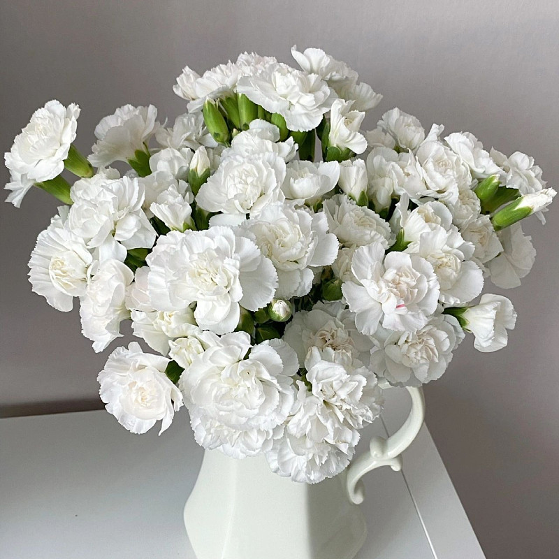洁白无瑕波浪花朵层层叠叠白色茉莉多头康乃馨鲜花云南直发节日