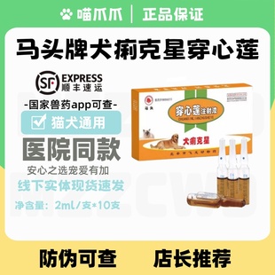 马头牌犬痢克星穿心莲注射液2ml 10支猫犬通用宠物医院穿心莲注射