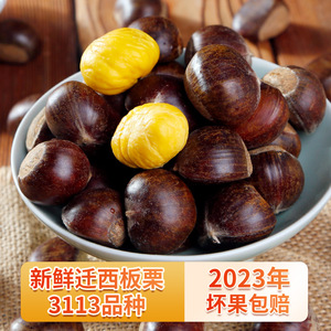 2023年新鲜下树河北迁西板栗3113生板栗皮薄更甜糯野生栗子5斤