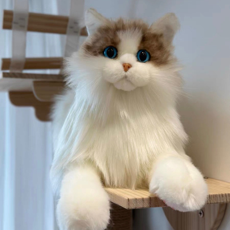 抖音同款仿真布偶猫大玩偶小猫咪毛绒布娃娃女友玩具生日儿童礼物