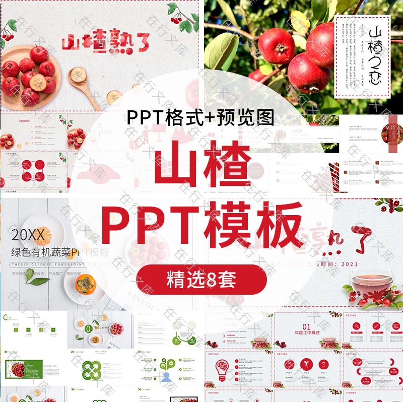 山楂介绍PPT模板水果山楂生产加工销售宣传推广介绍PPT幻灯片素材
