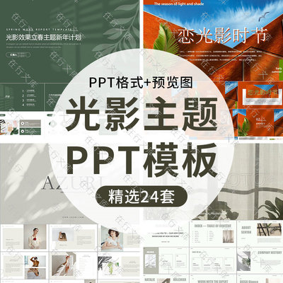 莫兰迪色系小清新花草光影PPT模板工作总结新年计划品牌宣传演示