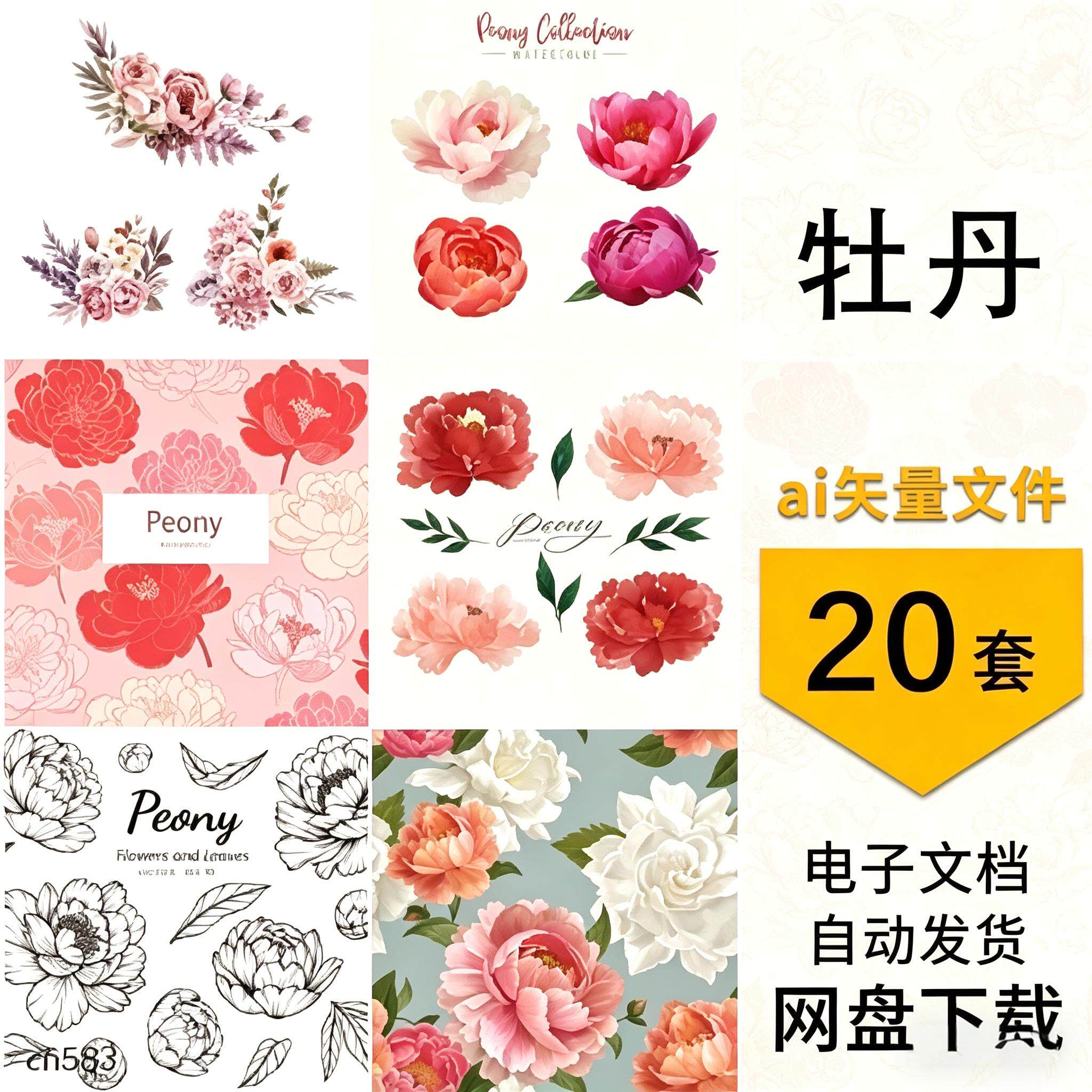 牡丹花卉花朵植物卡通手绘线稿水彩元素图案插画图片ai设计素材