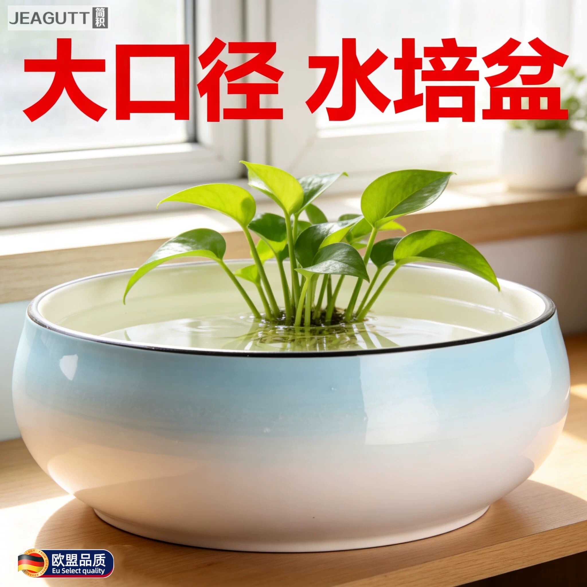 高档无孔陶瓷大号水培花盆