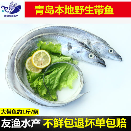 新鲜冷冻青岛野生当日海捕刀鱼