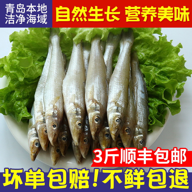 友渔水产新鲜沙丁鱼深海捕鲜活小杂鱼野生沙甸鱼速冻萨丁鱼沙尖鱼