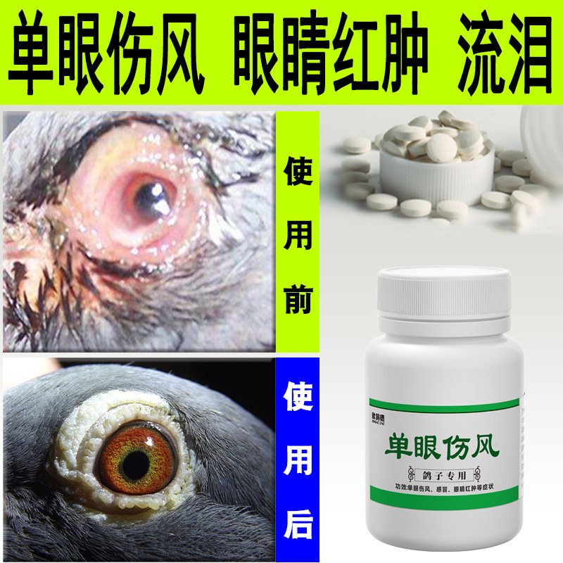 单眼伤风鸽子药欧鸽德