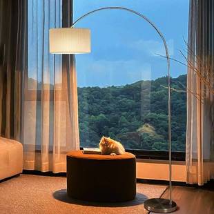 客厅全光谱不锈钢钓鱼灯落地灯法式 饰氛围灯 诧寂风轻奢大气简约装