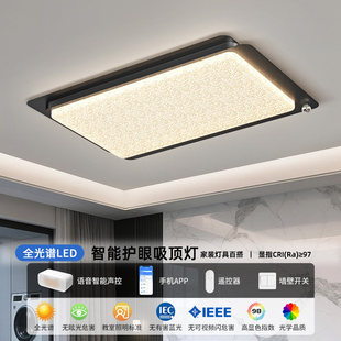 意式 轻奢感大厅主灯具全屋套餐组合 极简客厅吸顶灯2026新款