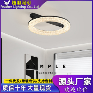 意式 现代简约主卧室吸顶灯 极简客厅灯大气家用设计师2024新款