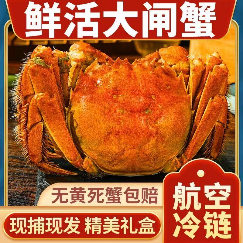 兴化鲜活大闸蟹礼盒装