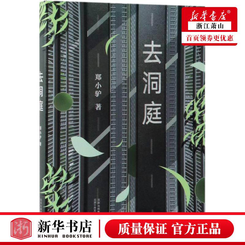 新华正版 去洞庭 郑小驴 动物形状的烟火 蚁王 痒 你知道的太多了