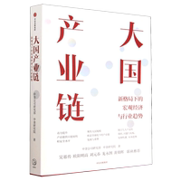 新华正版 大国产业链新格局下的宏观经济与行业趋势 作者:中金公司研究部//中金研究院 中信集团 畅销书 图书籍