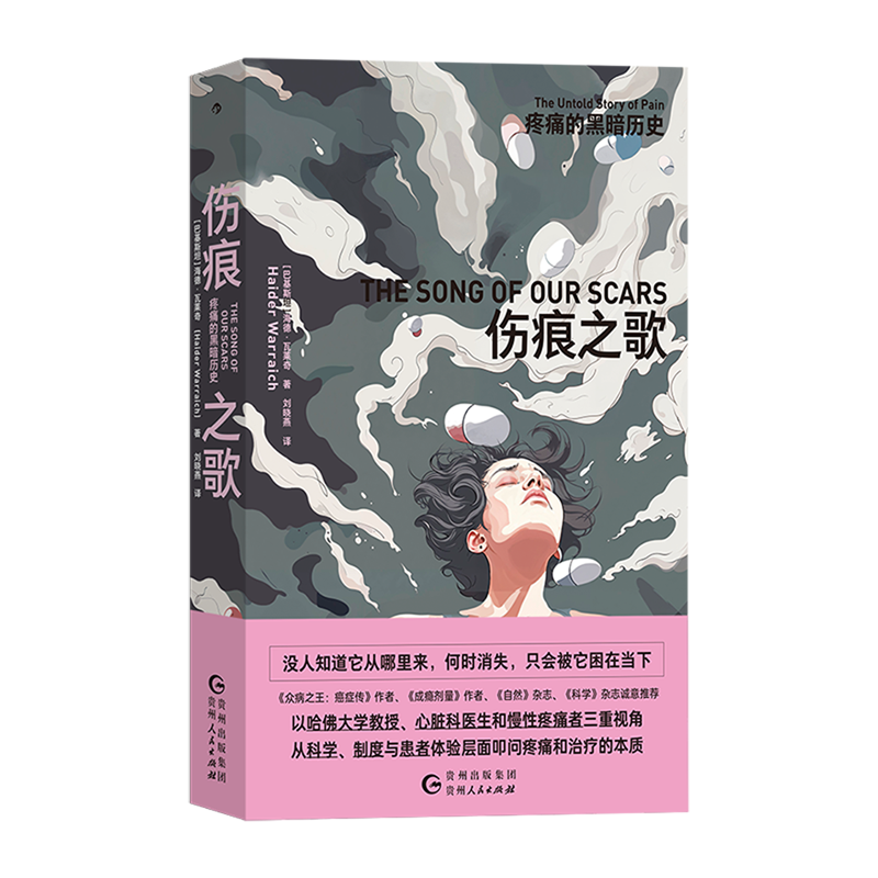 新华正版 伤痕之歌疼痛的黑暗历史 作者:(巴基斯坦)海德·瓦莱奇 贵州人民出版社 后浪咨询（北京） 畅销书 图书籍