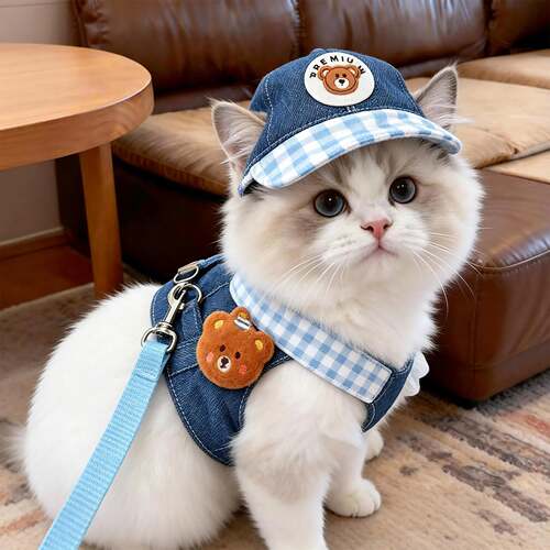 宠物牵引绳牛仔套装德文可牵引胸背猫咪衣服夏季外出专用猫狗通用