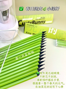 Curly Bunny黑木绿杆铅笔小学生一年级儿童书法2B铅笔练字HB铅笔