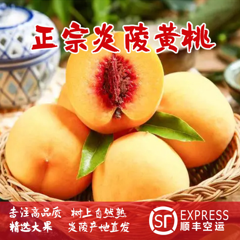 炎陵黄桃大果顺丰送货坏果包赔