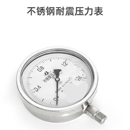 销不锈钢耐震压力表Y150BFZ YN150B硅油压力表 001MPA厂