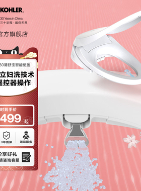 科勒女王座2.0前净柔泉独立妇洗智能马桶盖即热式E850
