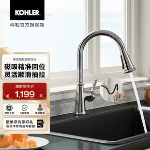 科勒泰恩下抽拉洗菜盆洗碗盆家用厨房龙头旋转冷热21415